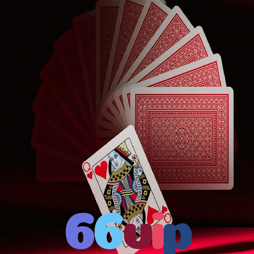  66vip